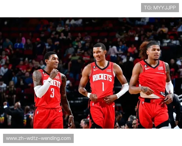 火箭队2007年球员名单及赛季数据回顾