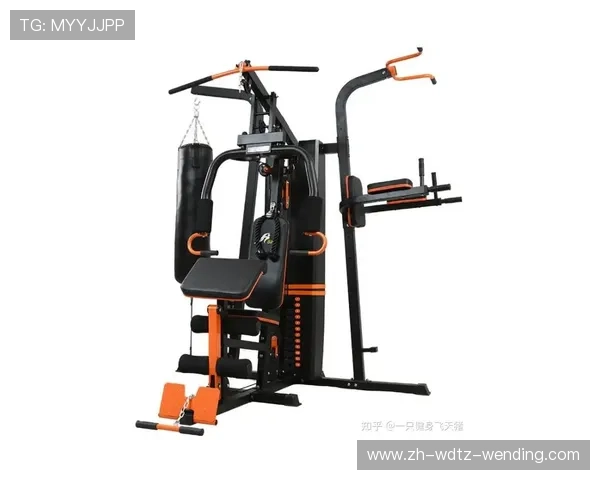 家庭健身器材价格及品牌对比