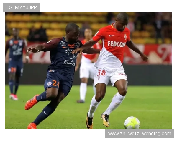 法甲各队比赛票务数据分析与价格走势